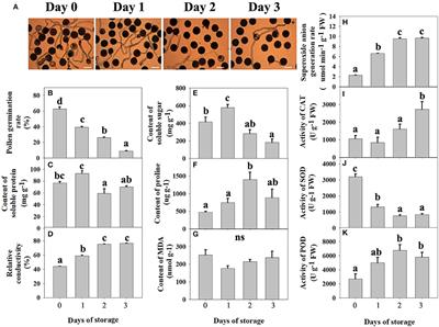 Metabolomics and Transcriptomics Analysis of Pollen Germination Response to Low-Temperature in Pitaya (Hylocereus polyrhizus)